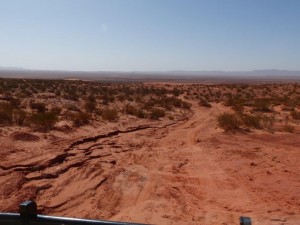 Desert of Chott Tigri