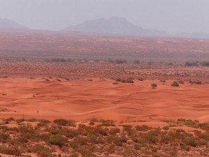 In der Wueste des Chott Tigri