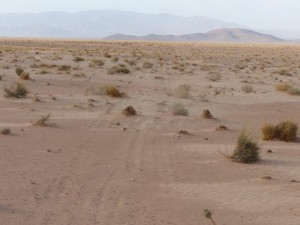 Offroad
