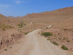 Towards Anoual