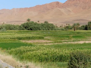 South Jbel Khang el Ghar