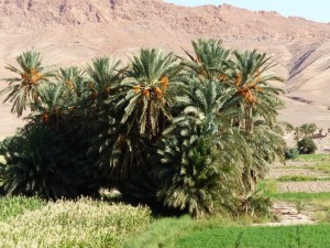 South Jbel Khang el Ghar