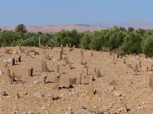 Friedhof / Cemetary