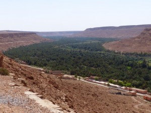 Ziz Tal