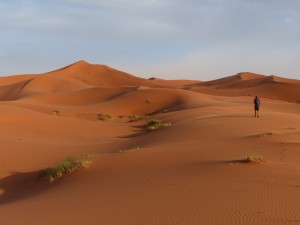 Erg Chebbi