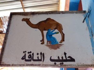 Camel Milk