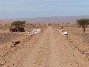 Military Check Point
