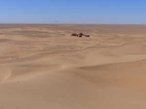 Desert Camp