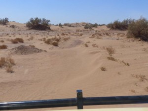 Piste to Mhamid