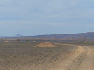 Piste Rallye Paris Dakar
