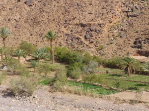 Djebel Sahro 