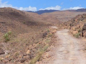 Djebel Sahro 
