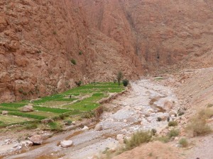 Todra Gorge