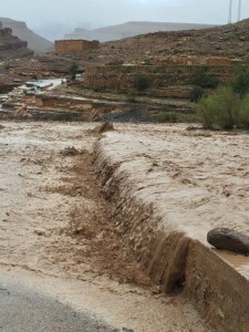 Too much water