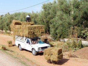 Golfkart