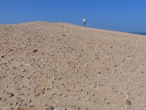 Mountains of snail shells