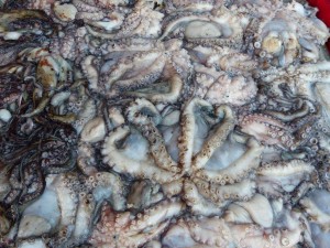Fish Market, Sidi Ifni