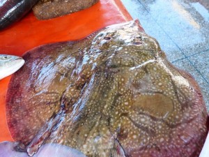 Fish Market, Sidi Ifni