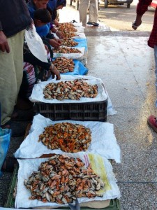 Fish Market, Sidi Ifni