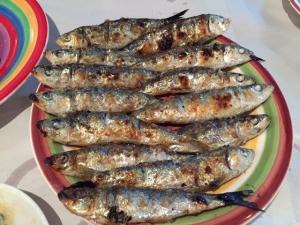 Agadir Fishmarket