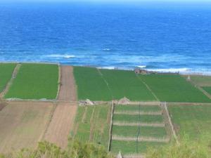Farming at the East Coast