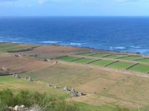 Farming at the East Coast