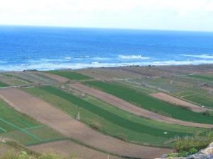 Farming at the East Coast