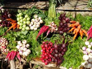 Fresh Vegetable on sale
