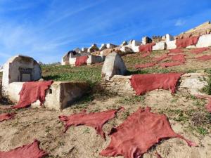 Drying Leather, Fes