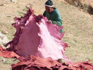 Dyed Leather, Fes