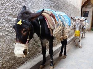 Medina, Fes