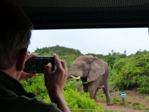 Addo Elephant Park