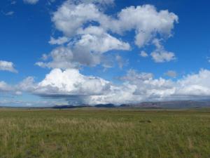 Mountain Zebra Park