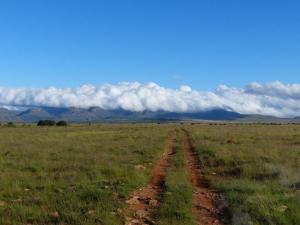 Mountain Zebra Park